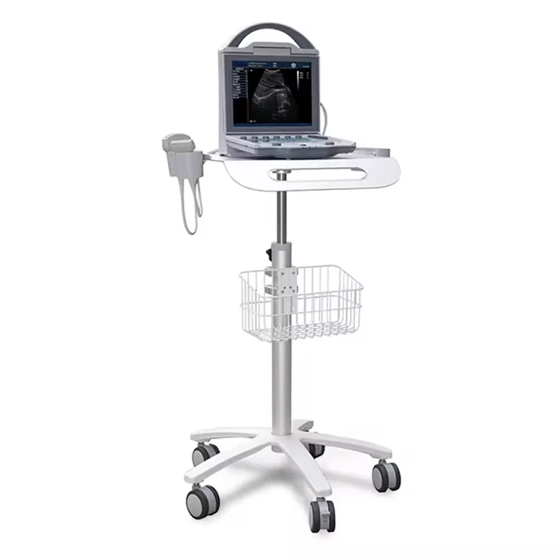 Animal disease pregnancy ultrasound  detection Veterinary equipment scanner with large screen for Animals