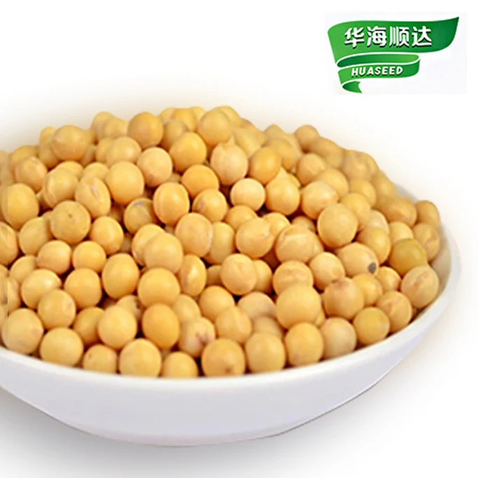 Wholesale High Quality Dried Agriculture Non GMO Soybeans High Quality Soya Beans