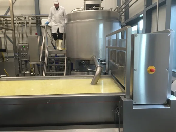 Factory Wholesale Cheese Making Machines tools Cheddar Mozzarella Cottage Production Line dairy plant