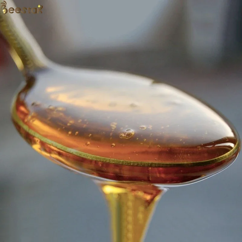 100% Pure Natural  Bush Forest Honey without any additives in bulk sale