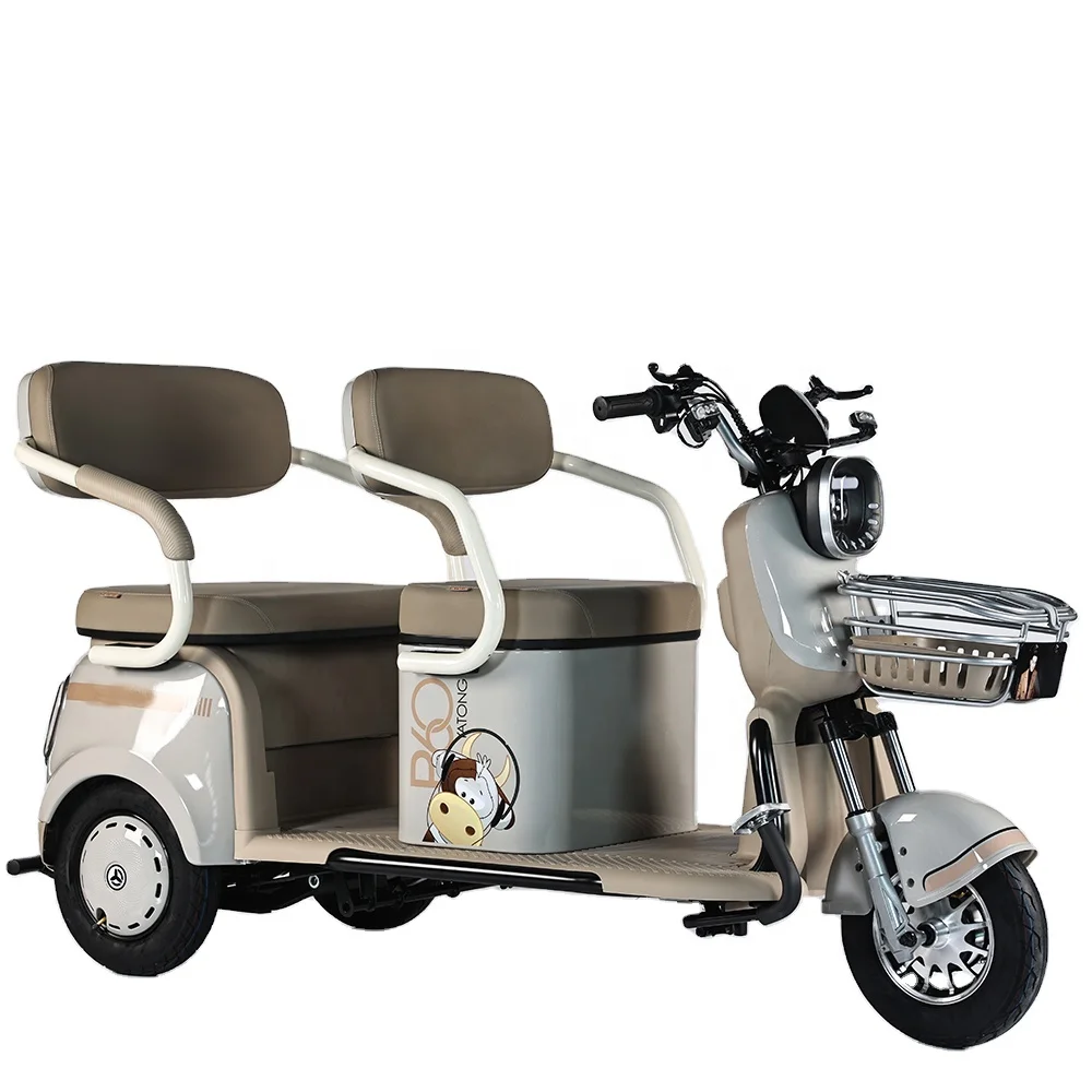 650W Electric Tricycle Bike Cheap Electric Tricycle For Adults electric bike with3 wheels for person.