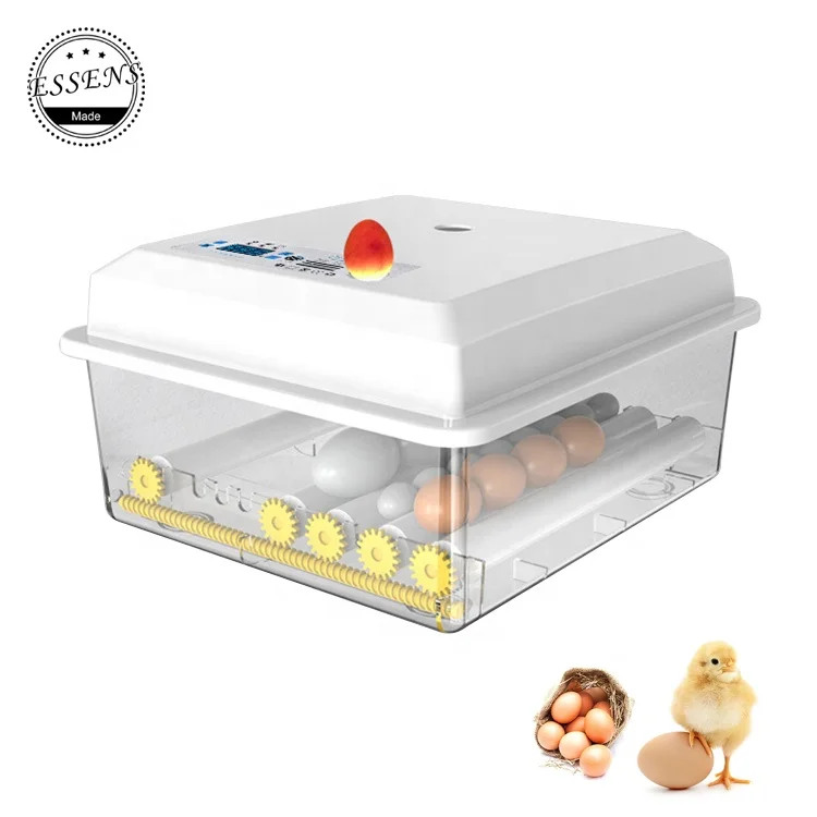 Household 12&220V plastic small size 6 zambia egg incubator with turer motor