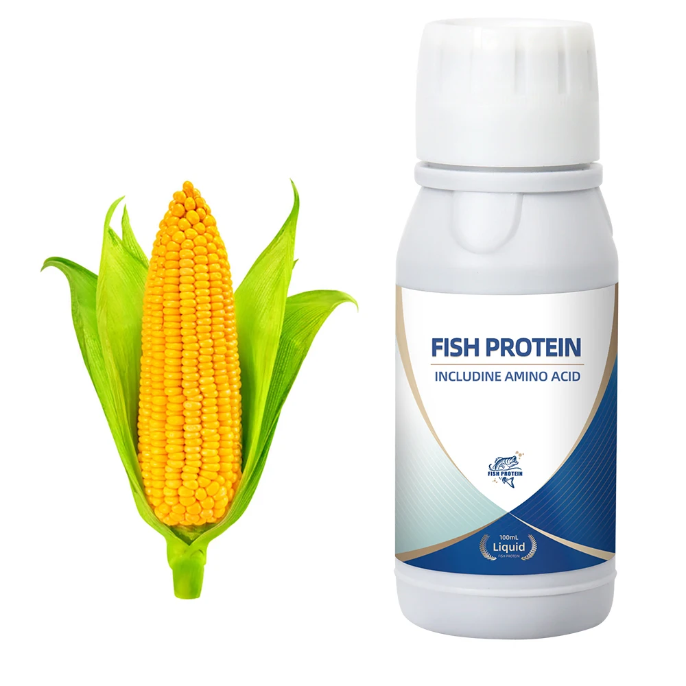 Biofertilizer for best growth of potato papaya pumpkin bell pepper crops