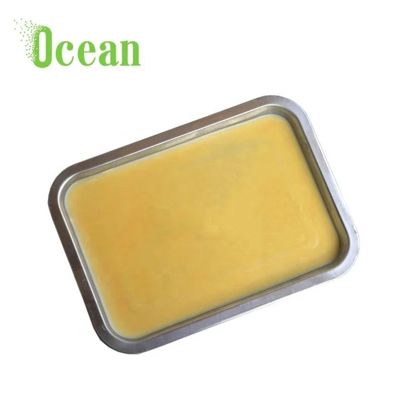 Stainless steel metal tray medical laboratory biological dissecting tray with wax for school