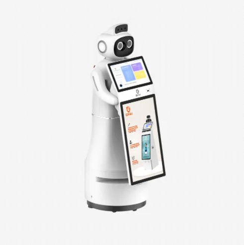 Customized  Intelligent Screen Display & Hotel Reception Service Robot