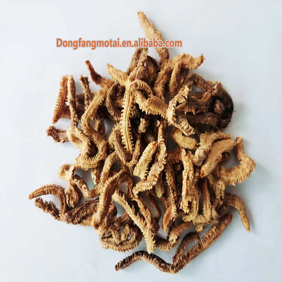 Factory Price High quality work Lazy worm Bait Green lazy worm sand worm bait fishing tool