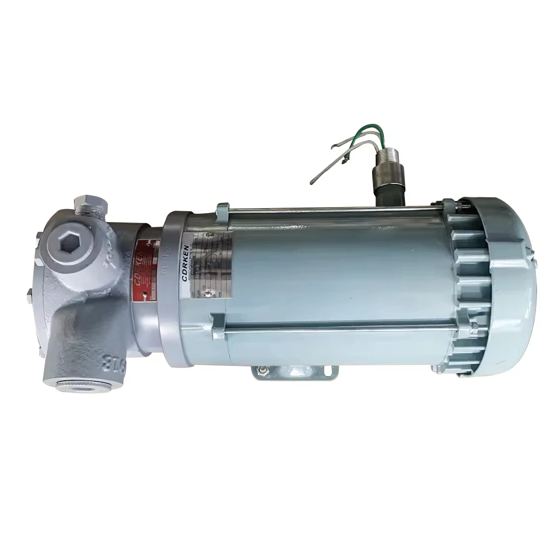 LPGP PUMP LPGP-60 apply to LPG pump for automobile Filling of liquefied gas cylinder