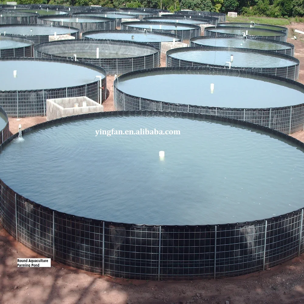 Pig farming biogas pond hdpe geomembrane HDPE geomembrane