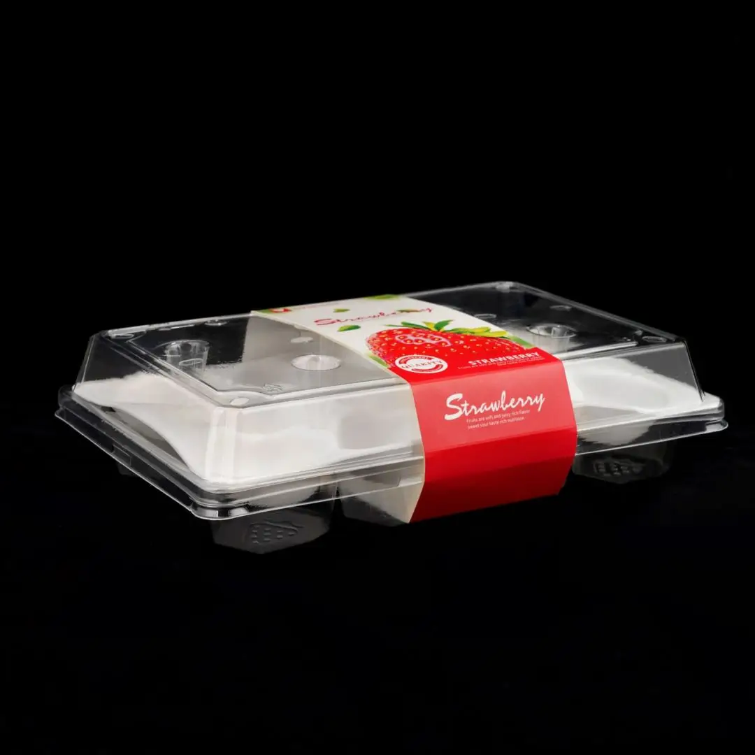 Manufacturer Disposable Transparent PET Strawberry Packaging Foam Tray Clear Plastic Fruit Box