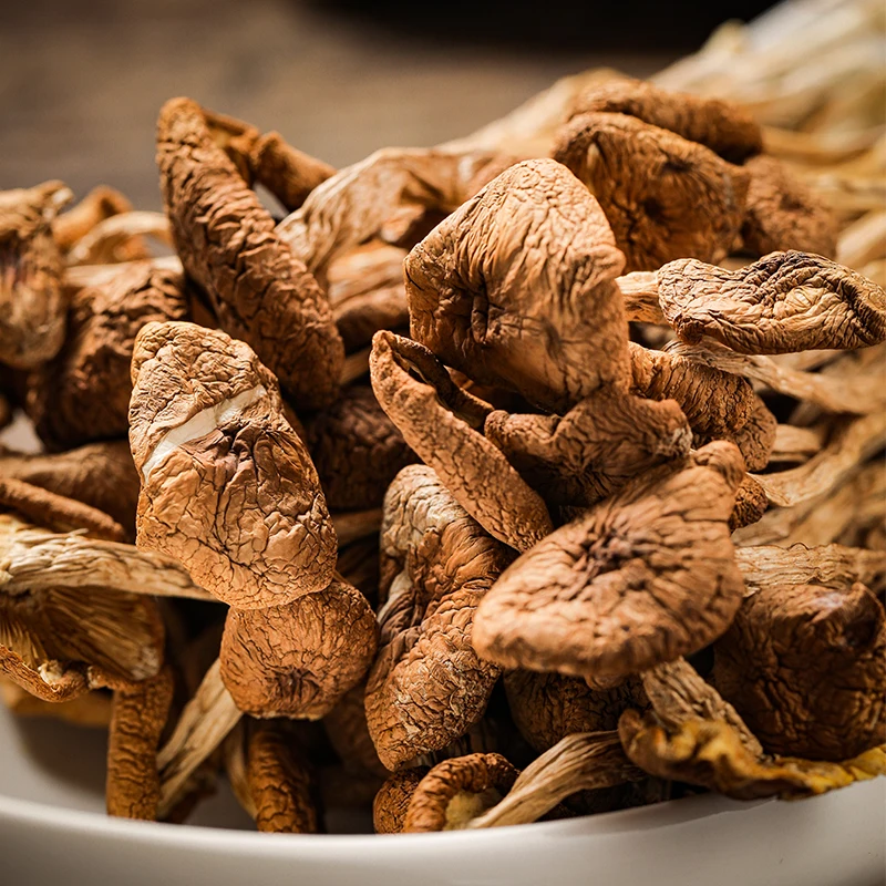 Affordable Price Good Condition Organic Tree Mushrooms Wild Grow Kit Dried Fungus From Organic