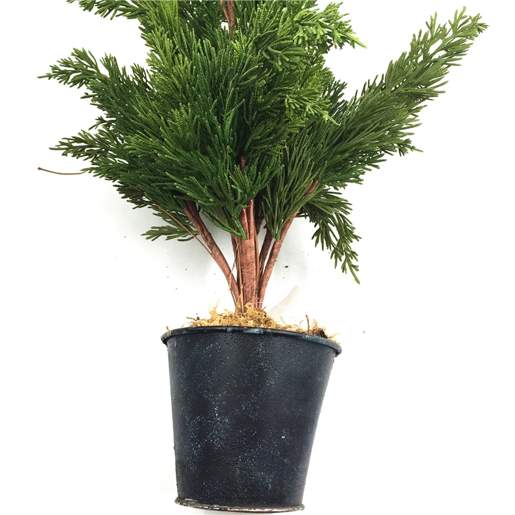 High Quality Plastic Pine Bonsai Indoor Artificial Tree