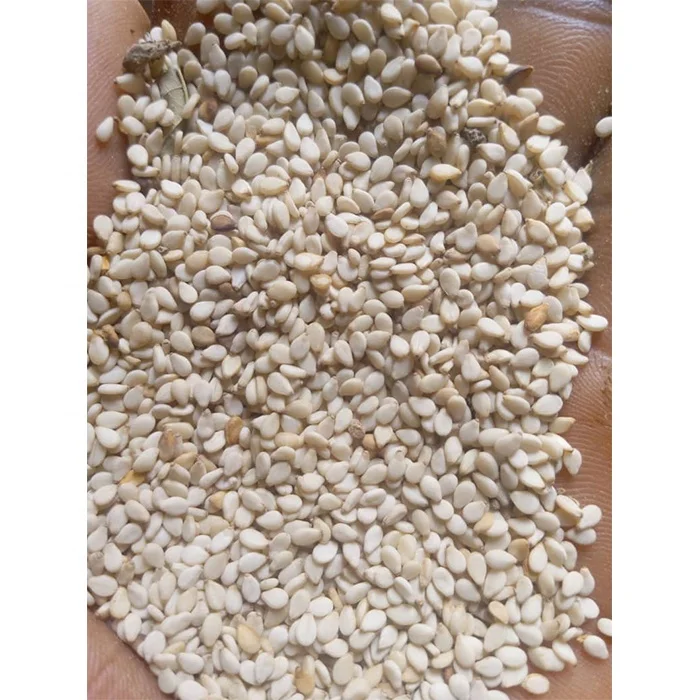 Sesame seed High quality natural white West Africa non GMO sweet UNHULLED with high oil contain tahini sesame seed for sale