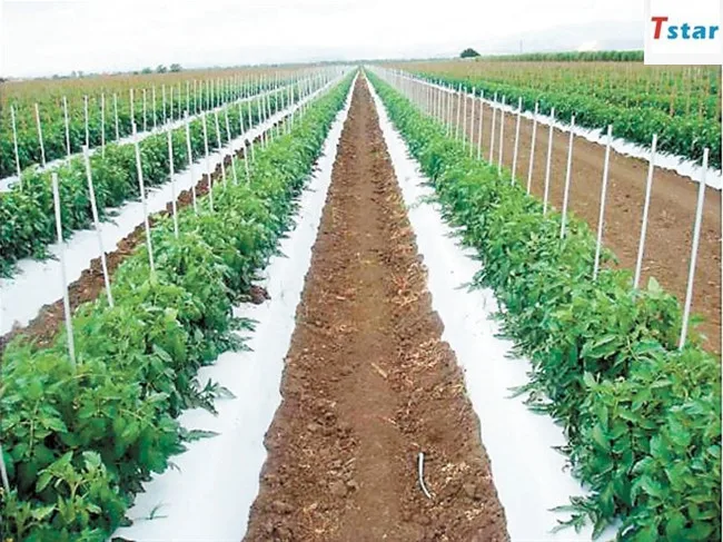 5mm 6mm flexible fiberglass rod  for greenhouse