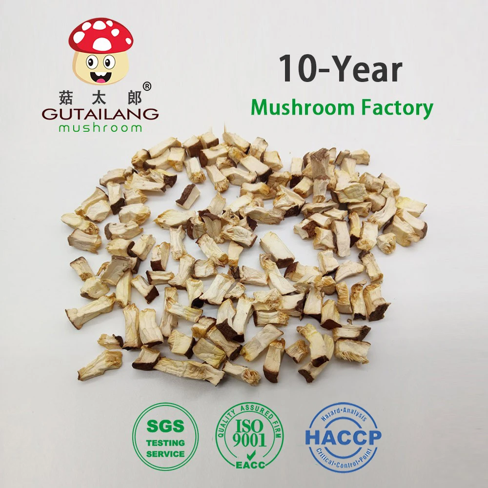 Dehydrated diced shiitake mushroom dice cube 5*5mm
