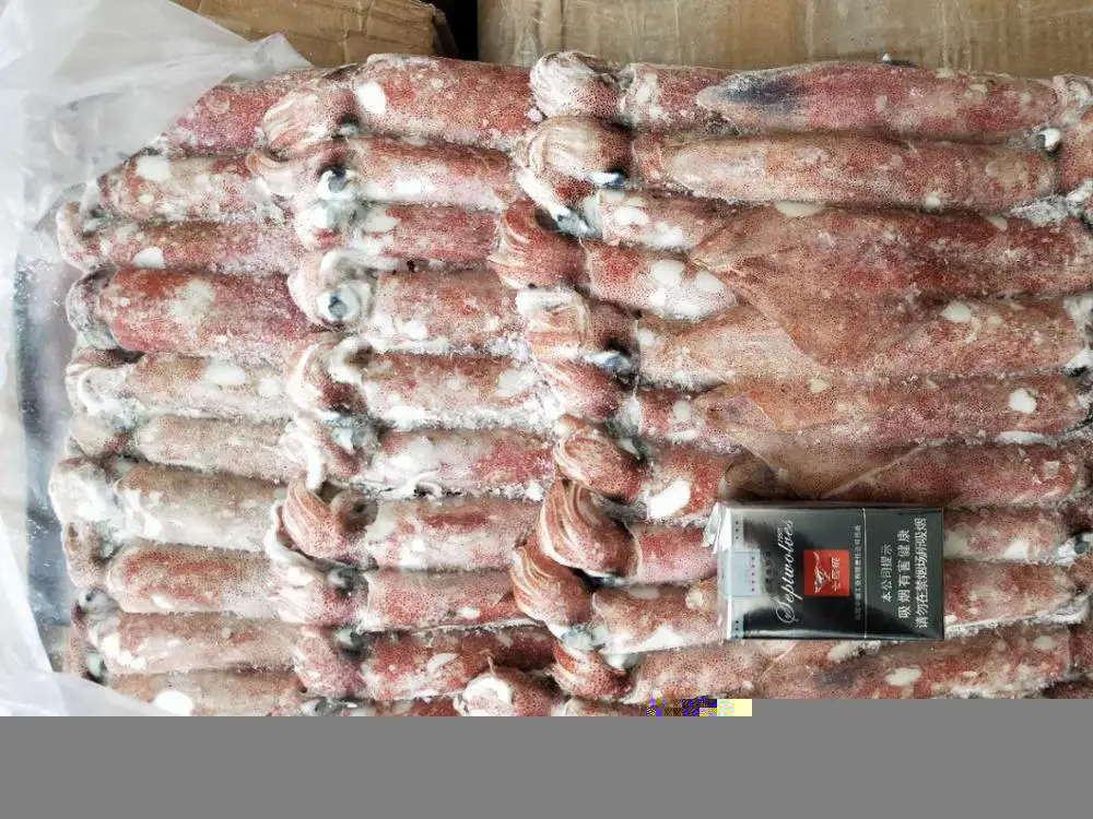 Малый размер illex lолиго замороженный кальмар замороженный розовый/красный кальмар из Вьетнама