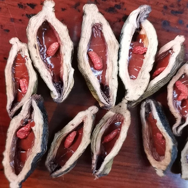  Высокое качество betel nuts производит в