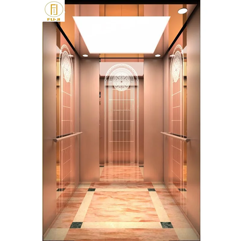 Fuji Elevator passenger Customised High Quality Elevato