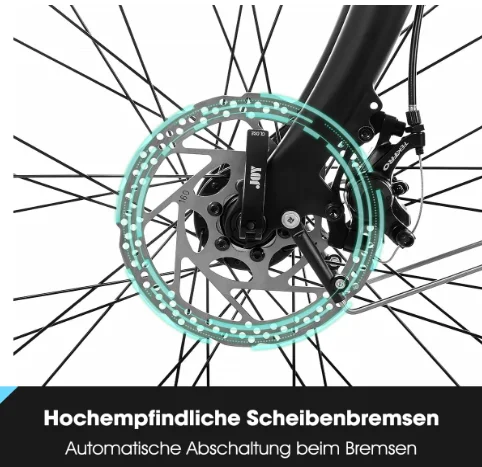 JOYKIE HILAND 28 inch 36V 250W electric city bike with disc brake