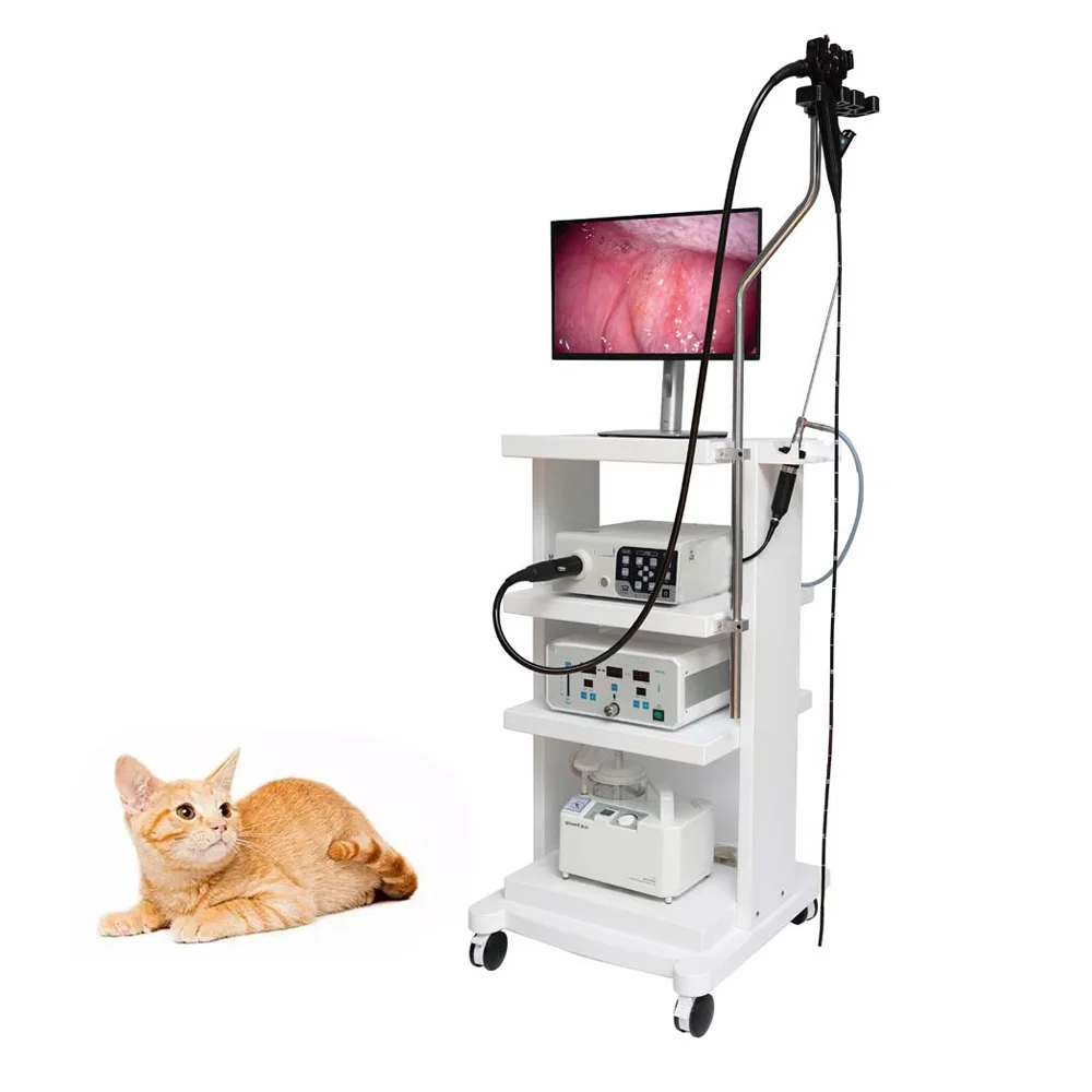 Factory direct sales of various animal soft rigid video bronchoscopes for veterinary professional diagnostic endoscopes