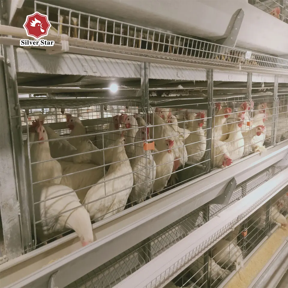 10000 layers H type 4 tiers cage with full automatic system for small chicken farm