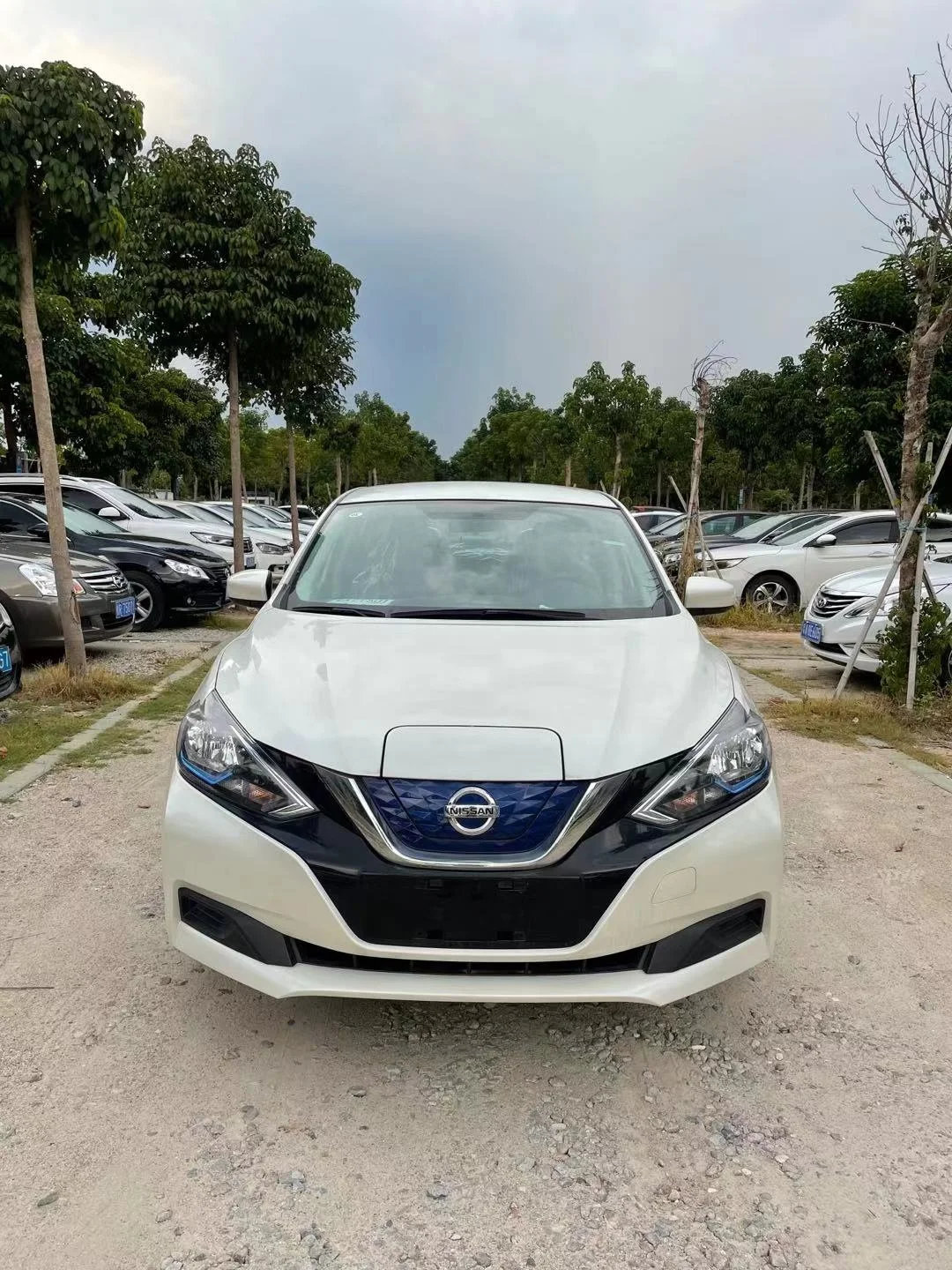 Дешевый Электрический автомобиль Nissan Sylphy EV седан автоматический