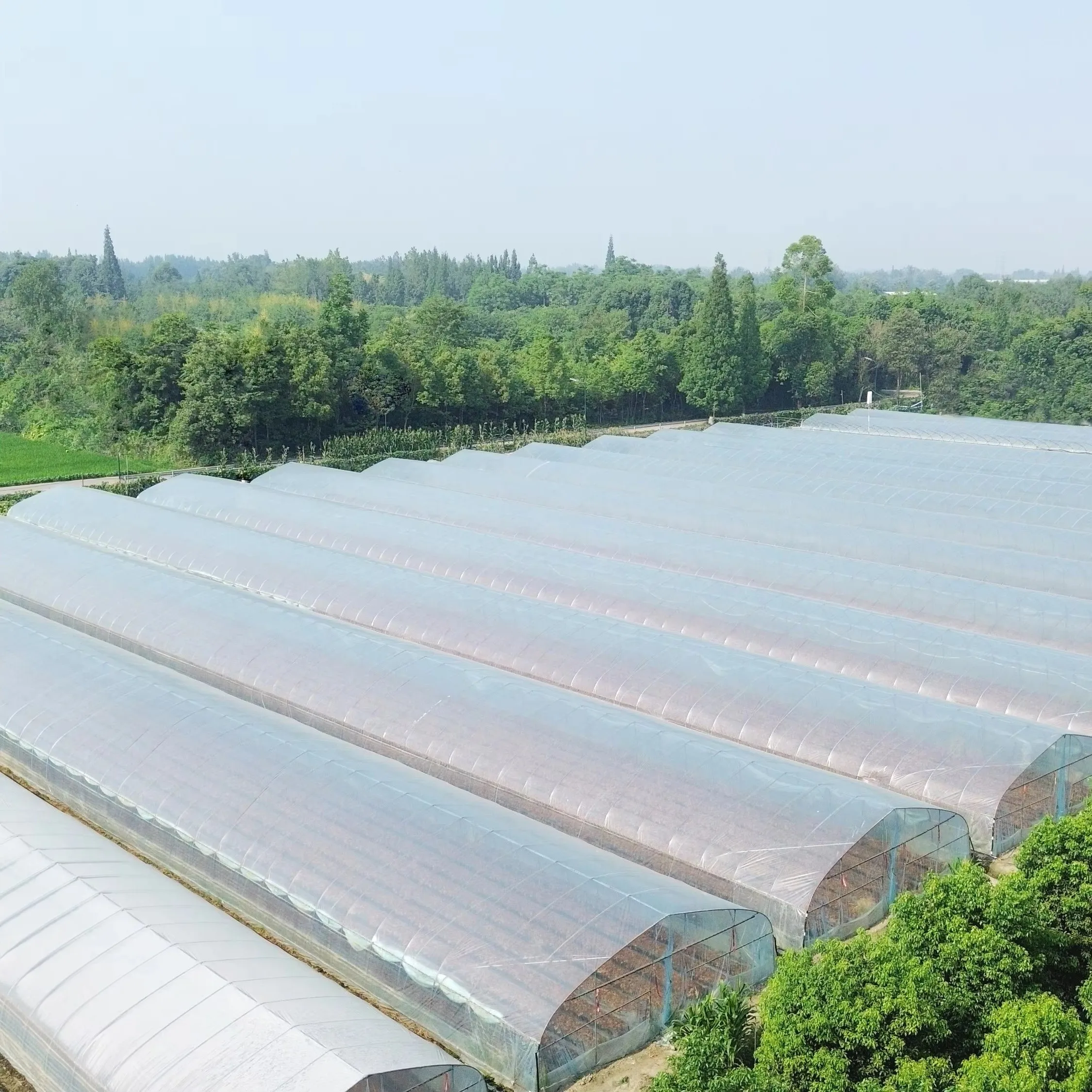 Low price wholesale   Ach Plastic Film Agricultural Greenhouse Hydroponics Growing High Tunnel Plastic Film  Greenhouses