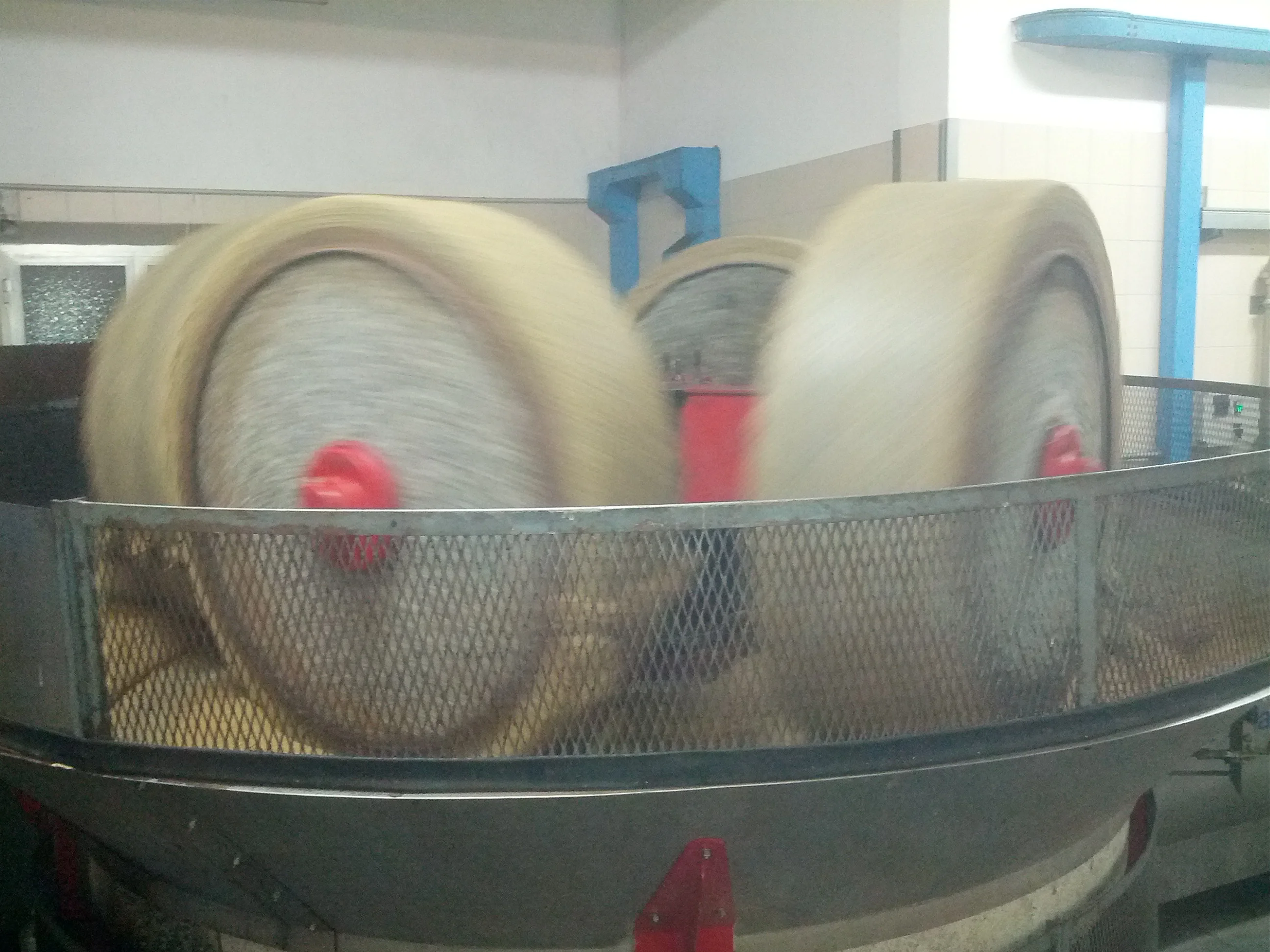 IL CILIEGIO 250 ml Olive Oil Bottle or Can High Quality Artisanal Organic Extra Virgin Olive Oil for Seasoning