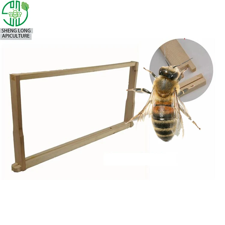 
2019 Henan beehive accessories factory directly supply all styles wood bee hive frame 