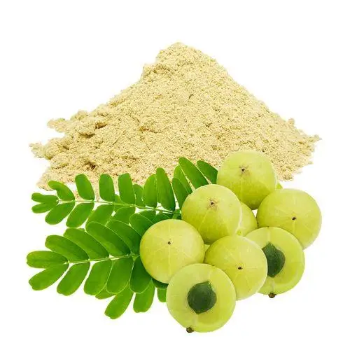 100% натуральный органический порошок Amla Лучшая цена экстракт натуральных фруктов хорошего качества