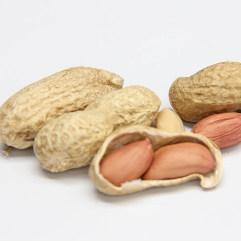 
 Размер 9/11, арахис в скорлупе/Арахис  