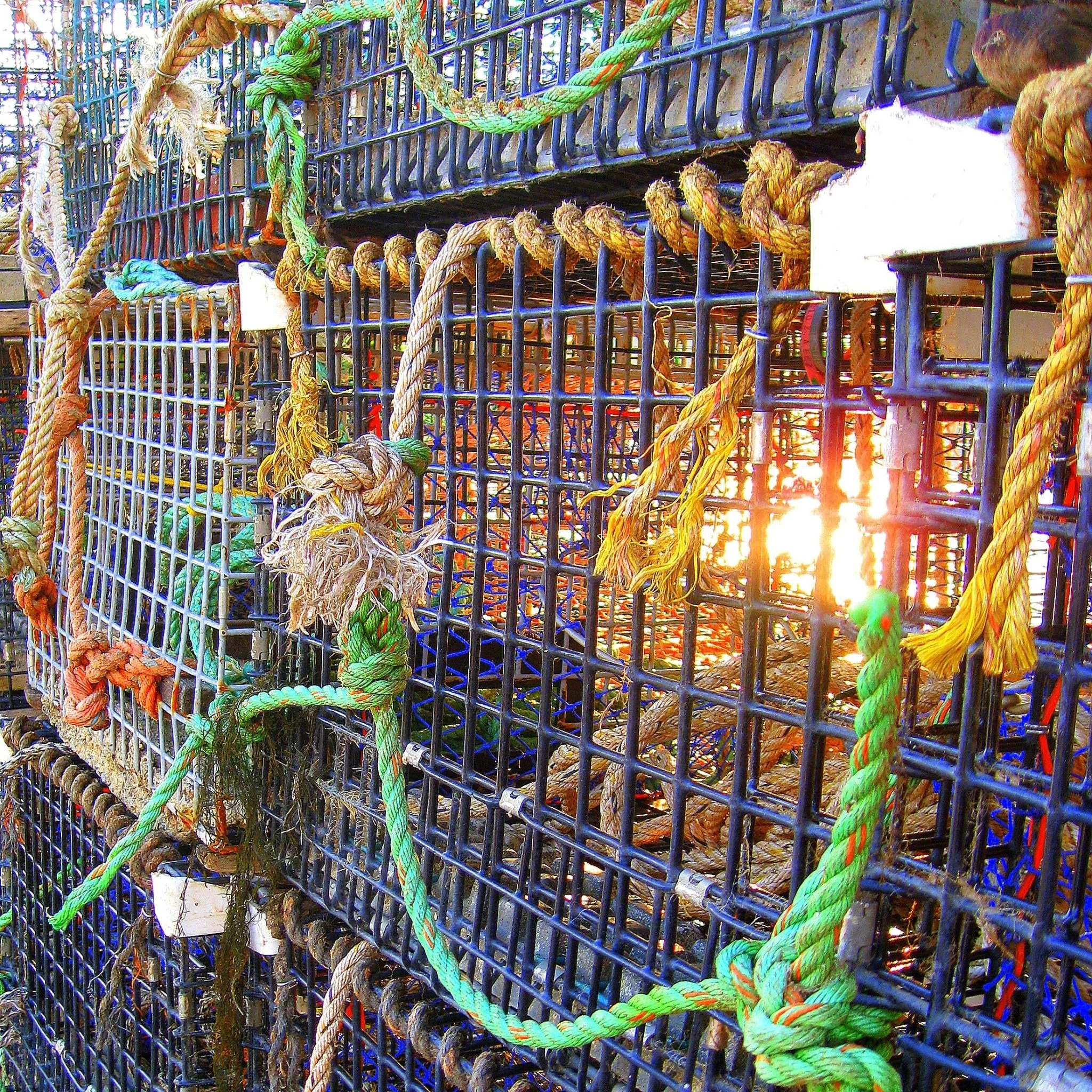 A Variety Clinch Clips for Aquaculture Folding Fish Crab Net Cage