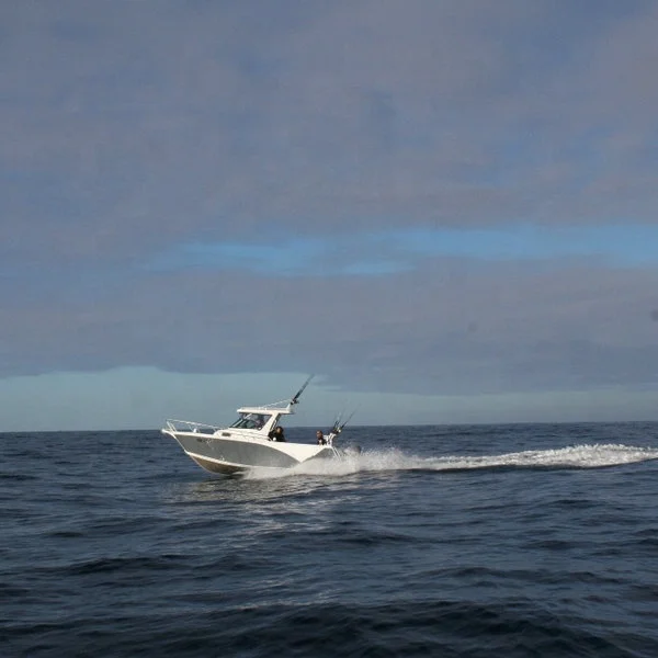 Рыболовная лодка с дистанционным управлением для продажи по заводской