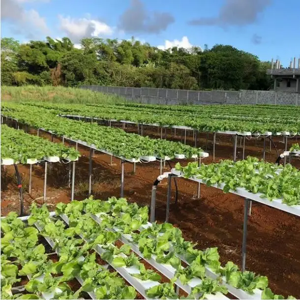 Agricultural NFT Anti-UV PVC channel Vertical Farming Hydroponics system for aeroponics system