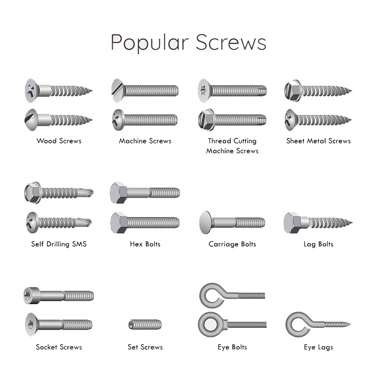 Concrete Screws Stainless Bolt Wedge Pole Expansion Anchor perno de anclaje tornillo y tuerca Carbon Steel Galvanized Anchors