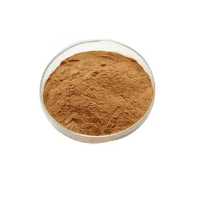 Hot selling mango seeds mango seed powder mango seed extract