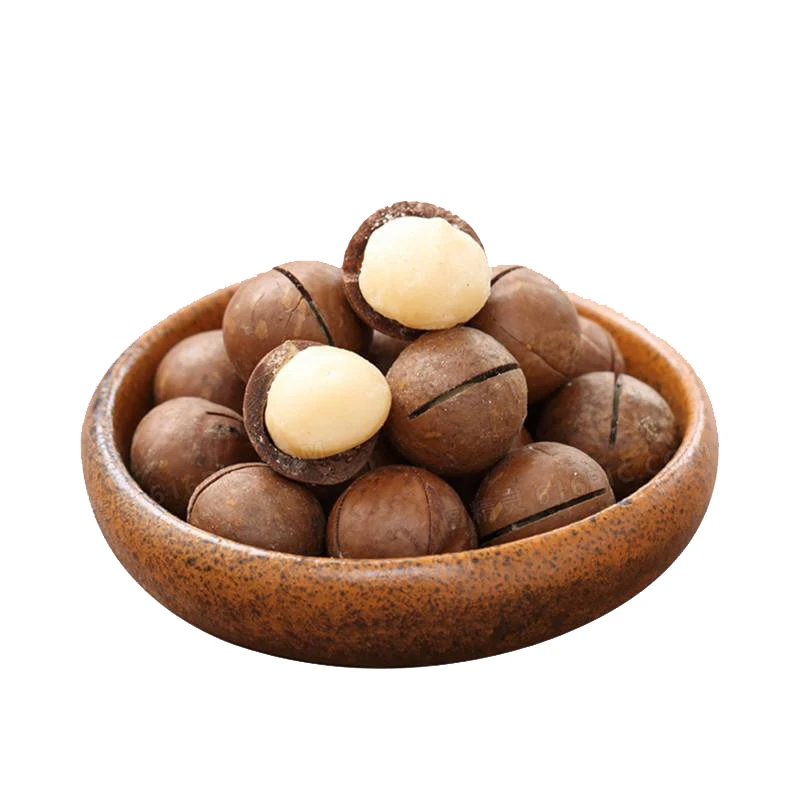 China Factory Price Macadamia nuts, roasted macadamia, organic macadamia nuts