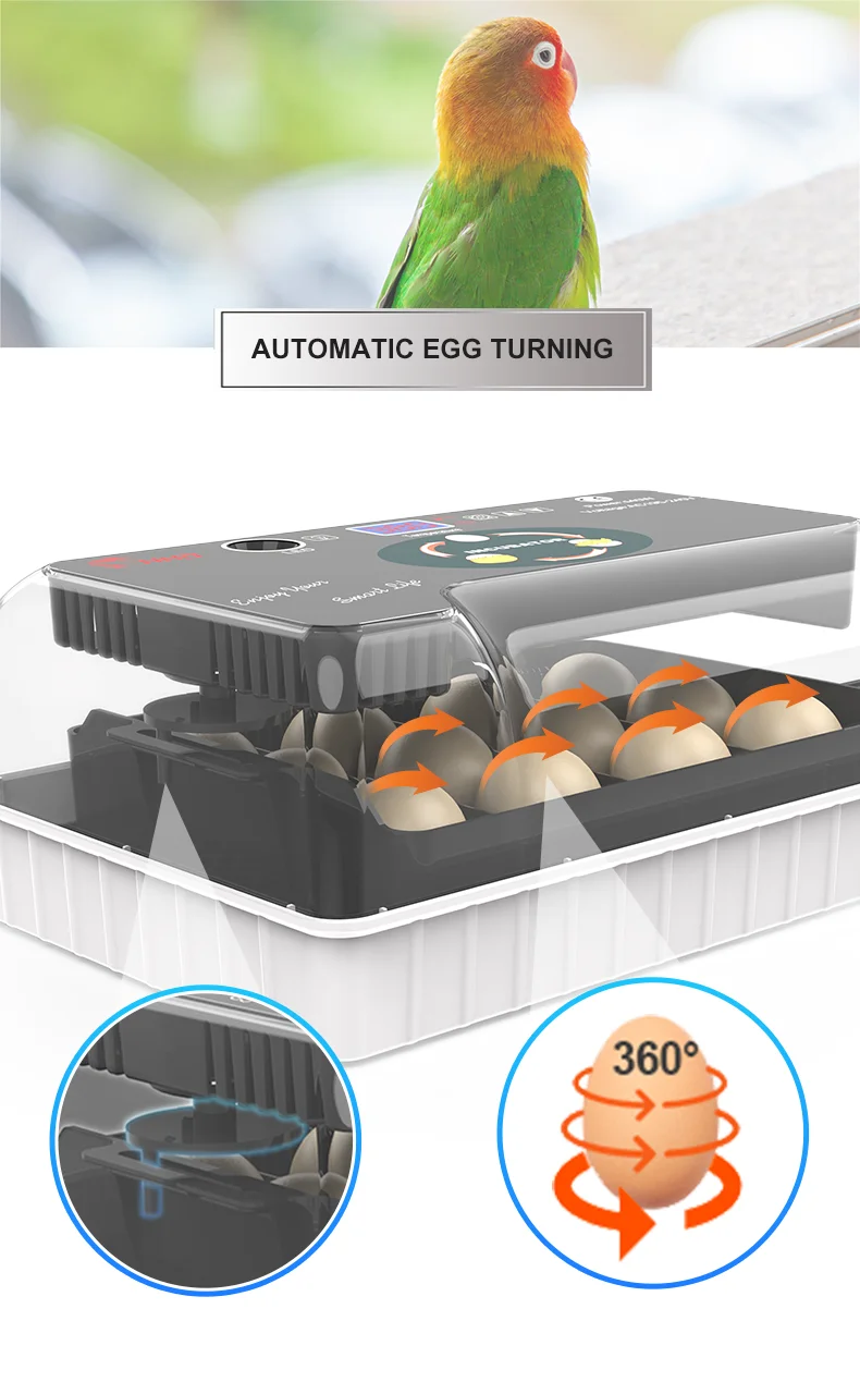 HHD Promotion Transparent Egg Incubator 12 Reptile Egg Incubator Hatching Machine In Germany