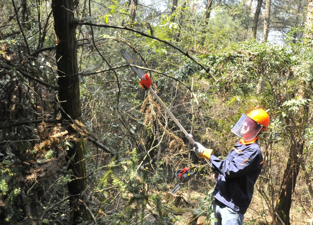 Multi tools 4 in 1 brush cutter 43cc Euro 5 Top grass trimmer 1E40F-5