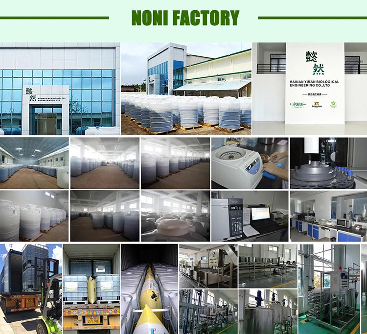 noni factory.jpg