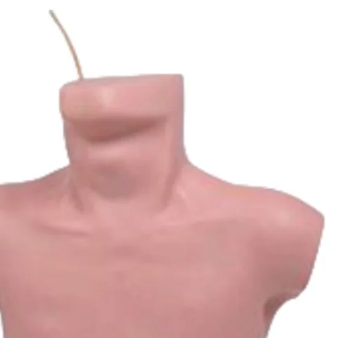 ADA Peripheral Puncture and Central Venous Puncture Cannulation Model and Neonatal Peripheral Central Venous Cannulation Model
