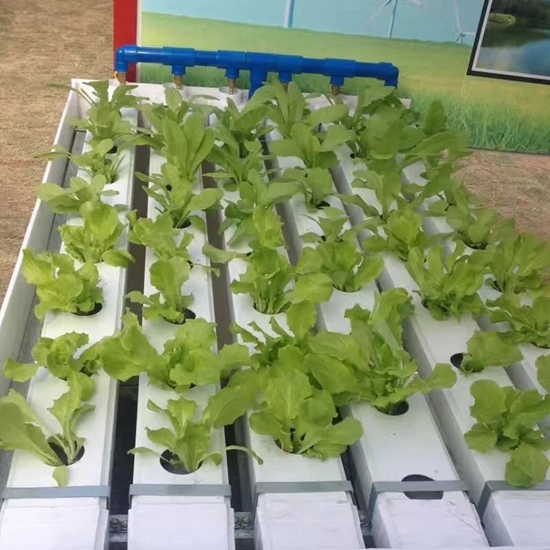 Aeroponic Hydroponic System For Greenhouse Indoor Hydroponic Tower Garden Hydroponic Growing System Vertical