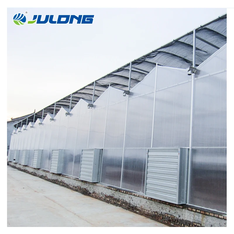 Hydroponics Greenhouses Greenhouse Supplier Polycarbonate Sheet Greenhouse for vegetables