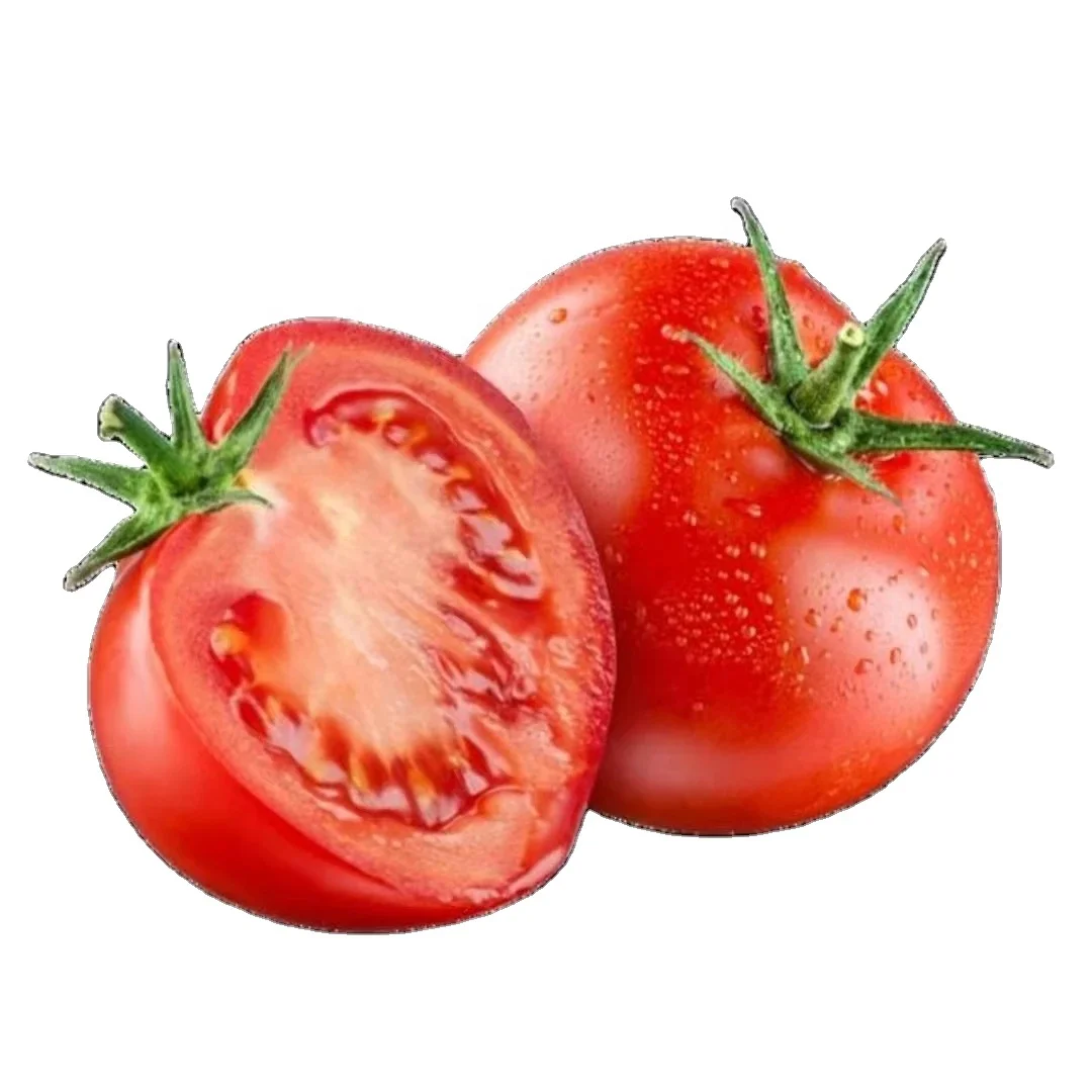 Crop 2023 fresh Chinese tomato fresh tomato