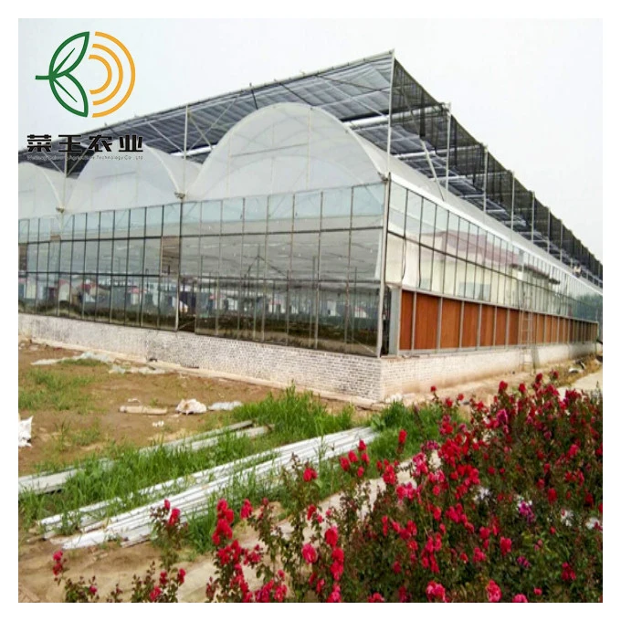 High quality plastic film double layer agricultural greenhouses