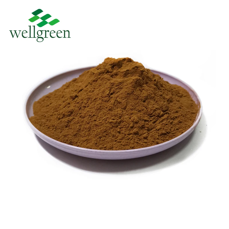 
Chaga Siberian Inonotus Obliquus Phaeoporus Obliquus Extract Powder 