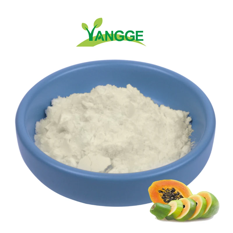 
Use as papain meat tenderizer Papaya papain extract powder 