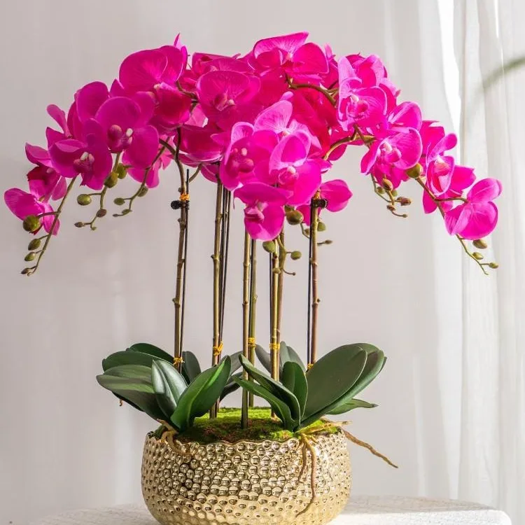 Factory wholesale decorative flower pots  with Phalaenopsis orchid  for floor   home  wedding decoration
