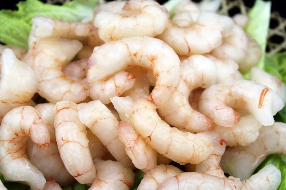 
Hot sale frozen red shrimp fresh shrimp pud big size 