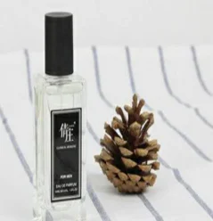 
QZ High quality, lasting and stable own brand high quality perfume 