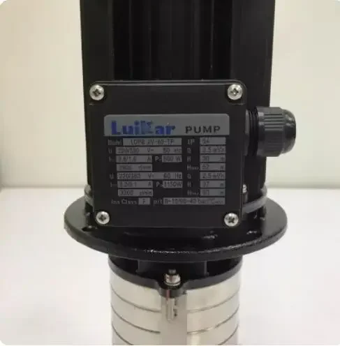 Luikar вертикальный Инвазивный LDPB2V-60-TP водяного насоса
